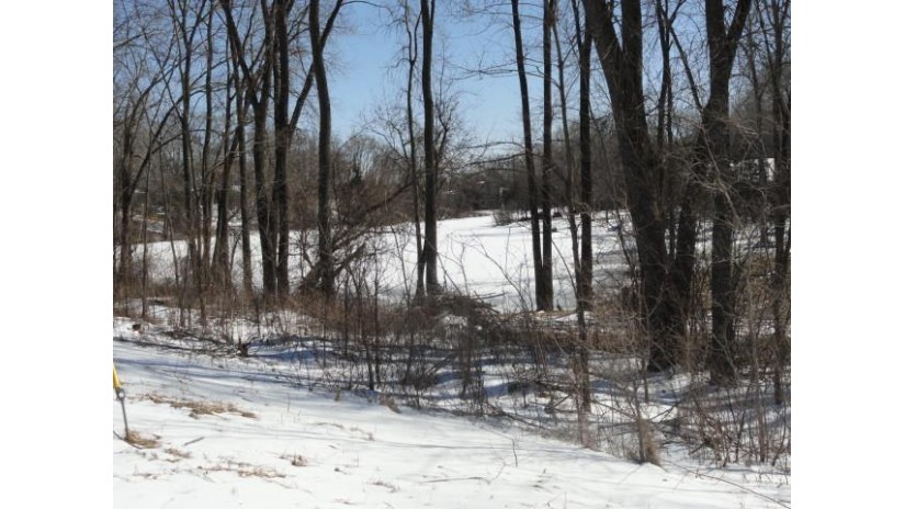 LOTS 12&13 Lintner Road Pardeeville, WI 53954 by Re/Max Preferred - Pref: 608-617-2727 $43,500