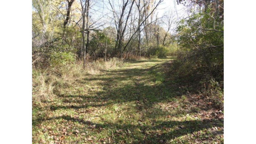 95 ACRES Highway 13 Springville, WI 53965 by Re/Max Preferred - Pref: 608-617-2727 $4,915,000