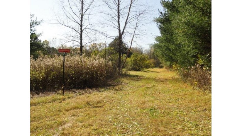 95 ACRES Highway 13 Springville, WI 53965 by Re/Max Preferred - Pref: 608-617-2727 $4,915,000