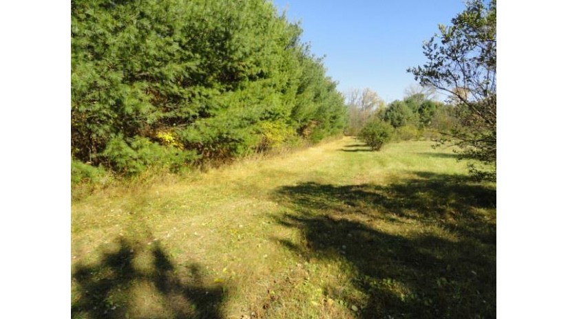 95 ACRES Highway 13 Springville, WI 53965 by Re/Max Preferred - Pref: 608-617-2727 $4,915,000