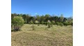 95 ACRES Highway 13 Springville, WI 53965 by Re/Max Preferred - Pref: 608-617-2727 $4,915,000