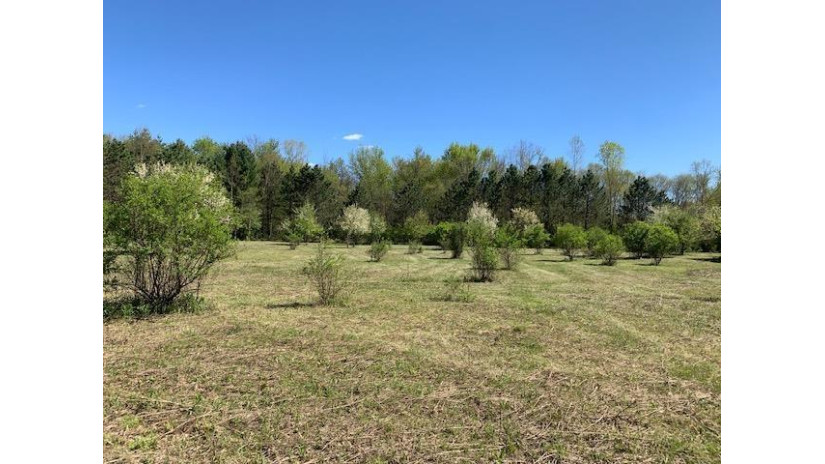 95 ACRES Highway 13 Springville, WI 53965 by Re/Max Preferred - Pref: 608-617-2727 $4,915,000