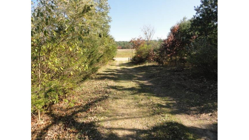 95 ACRES Highway 13 Springville, WI 53965 by Re/Max Preferred - Pref: 608-617-2727 $4,915,000