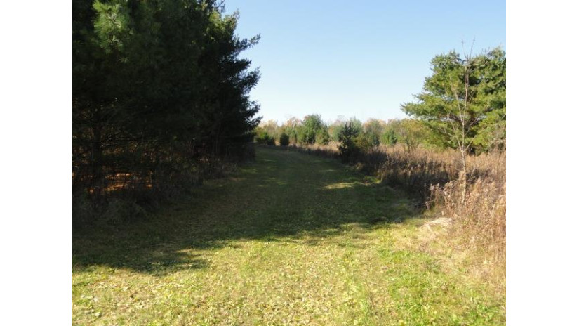 95 ACRES Highway 13 Springville, WI 53965 by Re/Max Preferred - Pref: 608-617-2727 $4,915,000