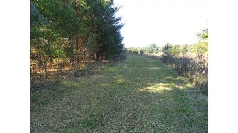 95 ACRES Highway 13 Springville, WI 53965 by Re/Max Preferred - Pref: 608-617-2727 $4,915,000