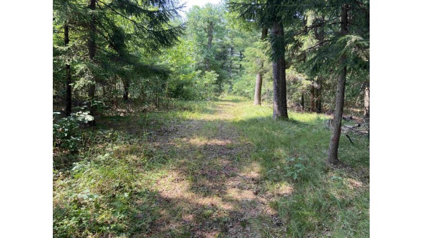 10 ACRES 21st Ave Lemonweir, WI 53948 by Re/Max Realpros $99,900
