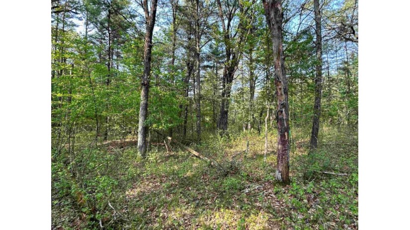 LOT 46 18th Ave Monroe, WI 54613 by Terra Firma Realty - info@tfmwisconsin.com $65,000