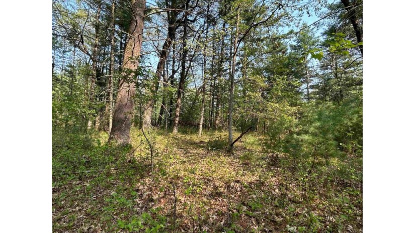 LOT 46 18th Ave Monroe, WI 54613 by Terra Firma Realty - info@tfmwisconsin.com $65,000