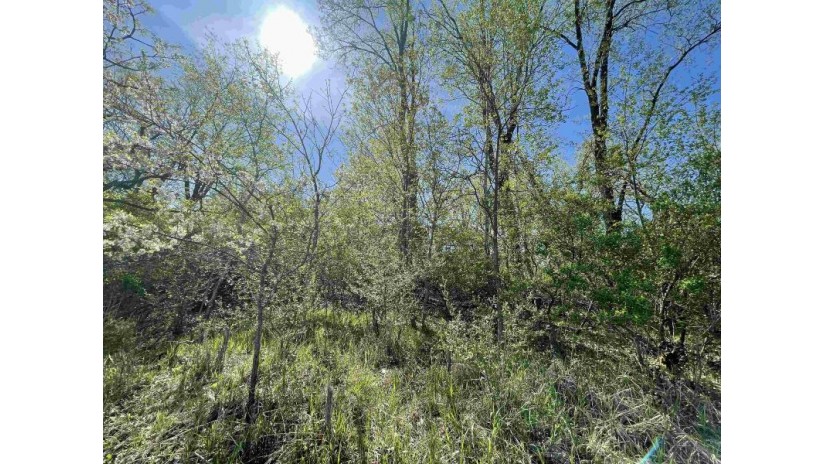 2 ACRES Freedom Rd Packwaukee, WI 53949 by Century 21 Affiliated $100,000