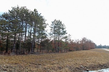 LOT19 Timber Tr, Spring Green, WI 53503