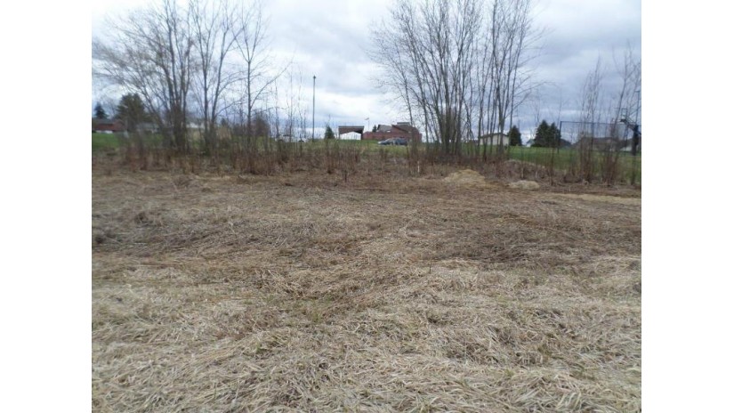 LOT 14 Eberlein Drive Mauston, WI 53948 by Vip Realty $21,900