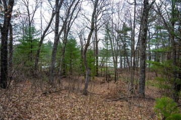 LOT 254 Dakota Junction, Strongs Prairie, WI 53934