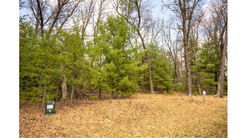 LOT 188 18th Lane Strongs Prairie, WI 53934 by Castle Rock Realty Llc - Cell: 608-548-6900 $29,500