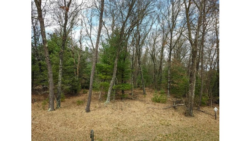 LOT 188 18th Lane Strongs Prairie, WI 53934 by Castle Rock Realty Llc - Cell: 608-548-6900 $29,500