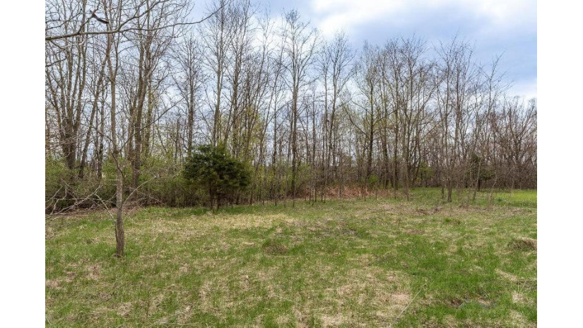 14.35 ACRES Highway 80 New Lisbon, WI 53950 by First Weber Inc - HomeInfo@firstweber.com $269,900