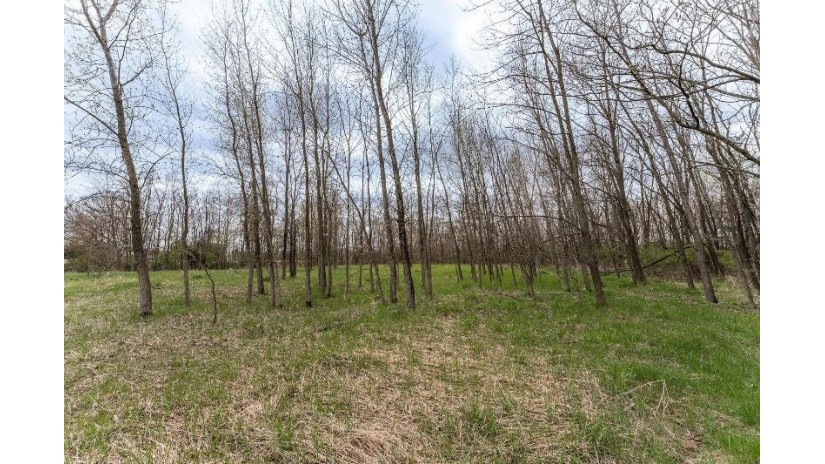 14.35 ACRES Highway 80 New Lisbon, WI 53950 by First Weber Inc - HomeInfo@firstweber.com $269,900