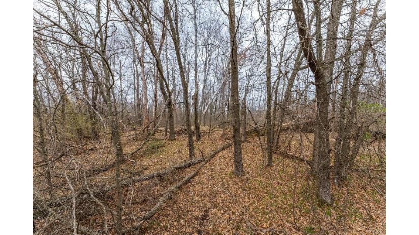 14.35 ACRES Highway 80 New Lisbon, WI 53950 by First Weber Inc - HomeInfo@firstweber.com $269,900