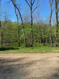 000 Millville  Hollow Rd, Patch Grove, WI 53816
