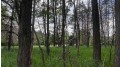 LOT 73 Pine Drive Mecan, WI 53949 by Cotter Realty Llc $23,999