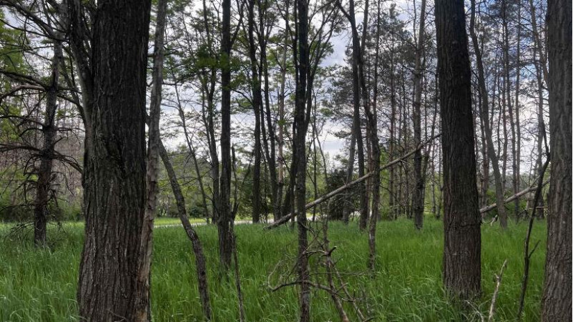 LOT 73 Pine Drive Mecan, WI 53949 by Cotter Realty Llc $23,999