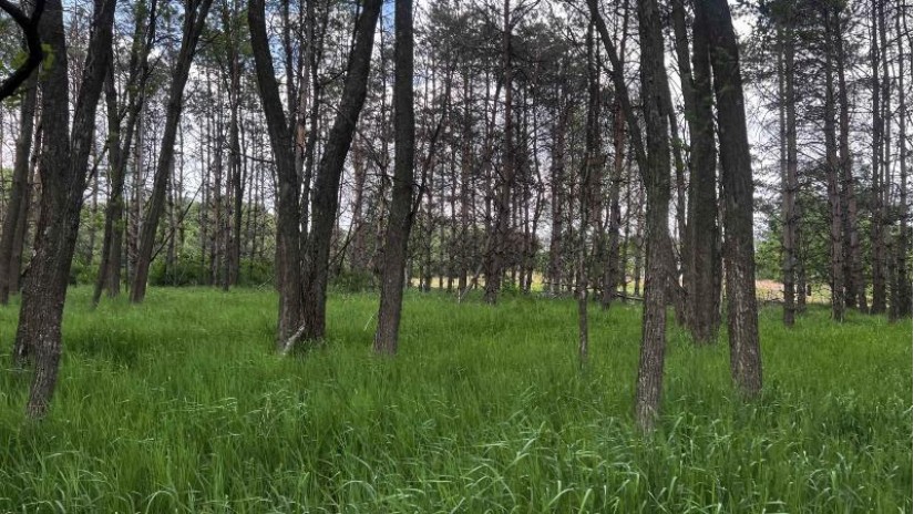 LOT 73 Pine Drive Mecan, WI 53949 by Cotter Realty Llc $23,999