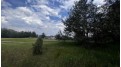 LOT 73 Pine Drive Mecan, WI 53949 by Cotter Realty Llc $23,999