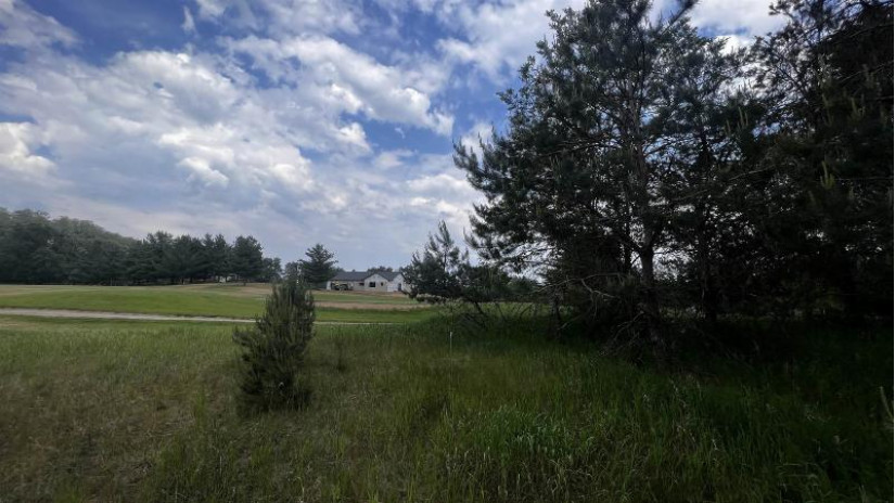 LOT 73 Pine Drive Mecan, WI 53949 by Cotter Realty Llc $23,999