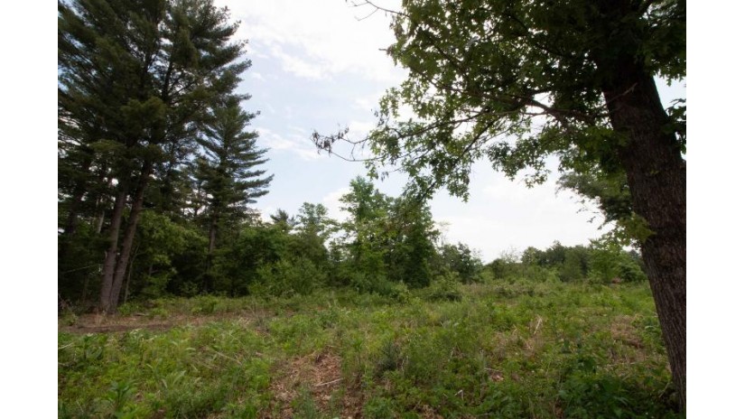 LOT8 Spruce Spring Green, WI 53588 by Century 21 Affiliated - Pref: 608-574-2092 $69,900