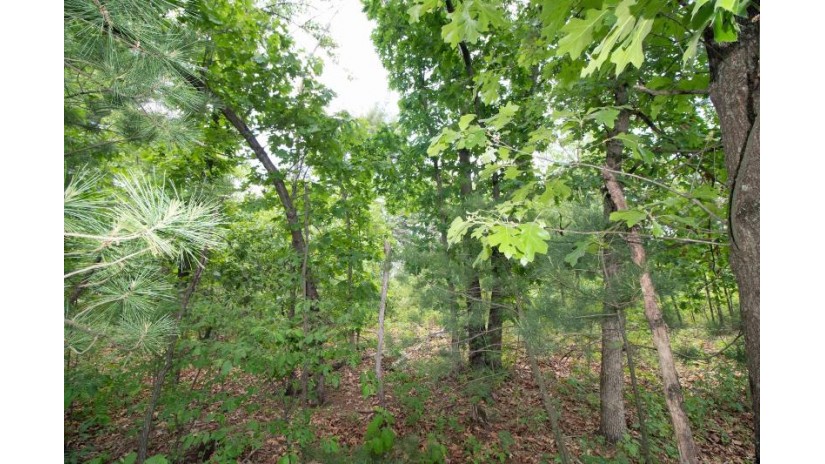 LOT8 Spruce Spring Green, WI 53588 by Century 21 Affiliated - Pref: 608-574-2092 $69,900