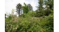 LOT8 Spruce Spring Green, WI 53588 by Century 21 Affiliated - Pref: 608-574-2092 $69,900