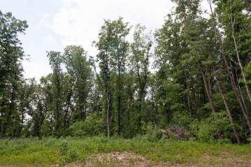 LOT13 Spruce Trail, Spring Green, WI 53588