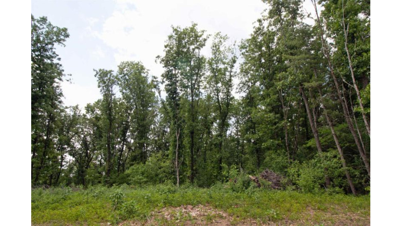 LOT13 Spruce Spring Green, WI 53588 by Century 21 Affiliated - Pref: 608-574-2092 $69,900