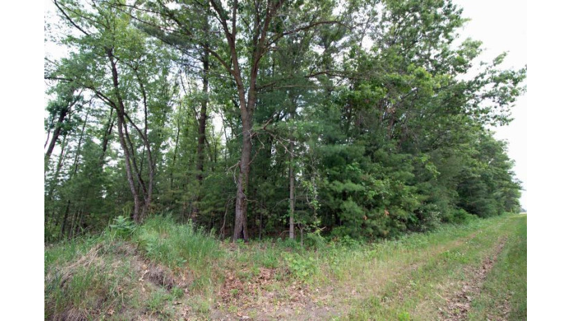 LOT13 Spruce Spring Green, WI 53588 by Century 21 Affiliated - Pref: 608-574-2092 $69,900