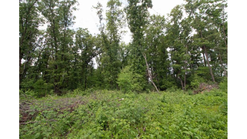 LOT13 Spruce Spring Green, WI 53588 by Century 21 Affiliated - Pref: 608-574-2092 $69,900