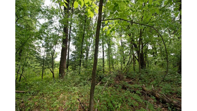 LOT13 Spruce Spring Green, WI 53588 by Century 21 Affiliated - Pref: 608-574-2092 $69,900