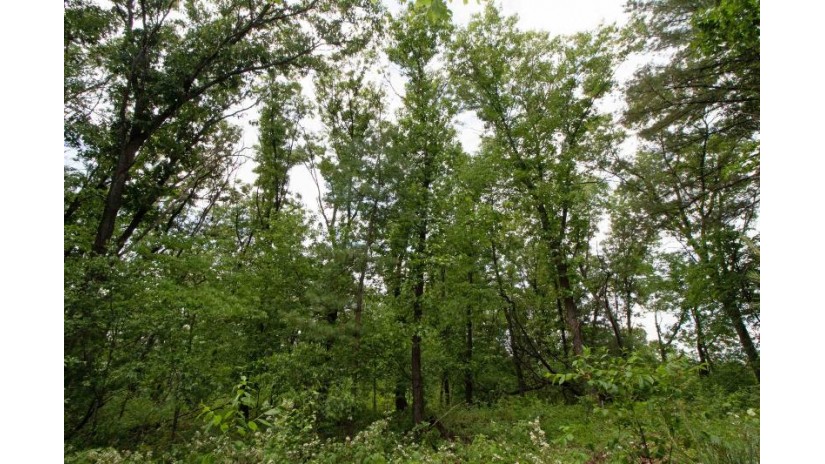 LOT13 Spruce Spring Green, WI 53588 by Century 21 Affiliated - Pref: 608-574-2092 $69,900