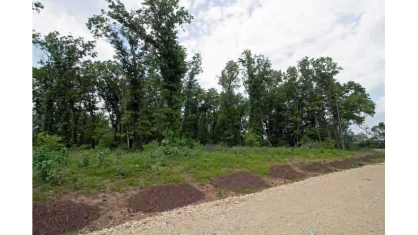 LOT13 Spruce Spring Green, WI 53588 by Century 21 Affiliated - Pref: 608-574-2092 $69,900