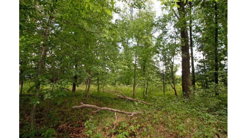 LOT13 Spruce Spring Green, WI 53588 by Century 21 Affiliated - Pref: 608-574-2092 $69,900