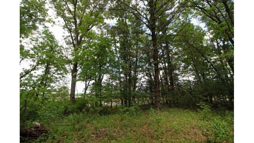 LOT13 Spruce Spring Green, WI 53588 by Century 21 Affiliated - Pref: 608-574-2092 $69,900