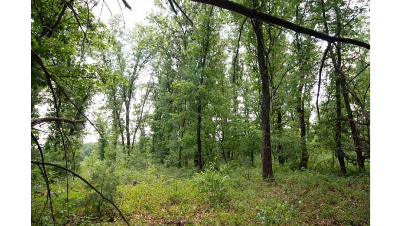 LOT13 Spruce Spring Green, WI 53588 by Century 21 Affiliated - Pref: 608-574-2092 $69,900