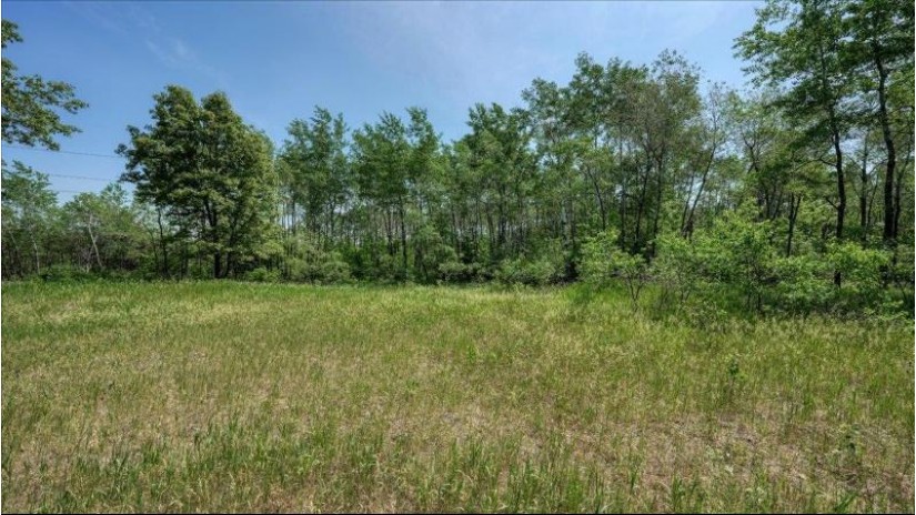 N1440 Highway 12/16 Lyndon, WI 53944 by Whitetail Dreams Real Estate $1,599,000