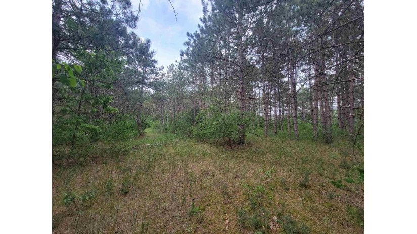 LOT 114 County Road Z Monroe, WI 54613 by Coldwell Banker Advantage Llc - Off: 715-325-7335 $64,900