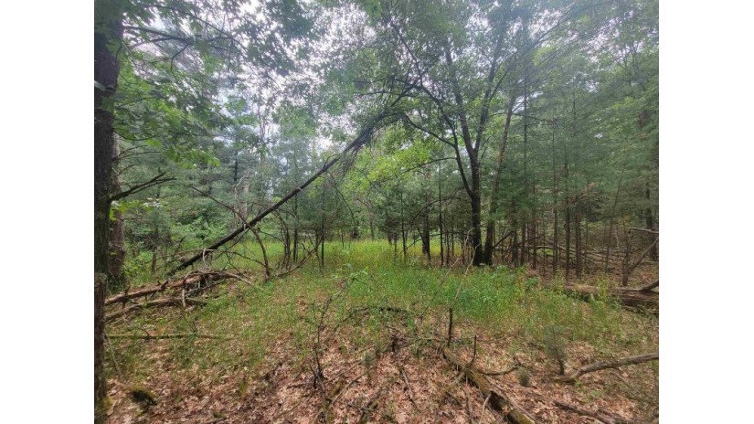 LOT 114 County Road Z Monroe, WI 54613 by Coldwell Banker Advantage Llc - Off: 715-325-7335 $64,900