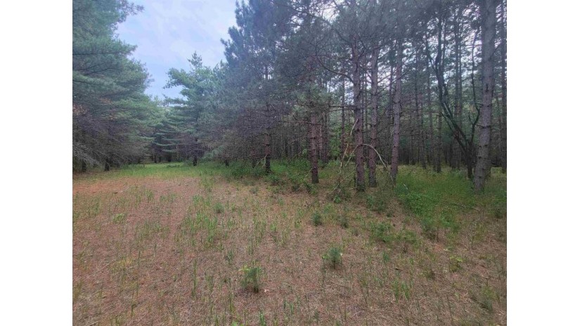 LOT 114 County Road Z Monroe, WI 54613 by Coldwell Banker Advantage Llc - Off: 715-325-7335 $64,900