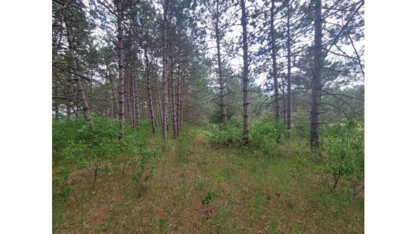 LOT 113 Beaver Lane Monroe, WI 54613 by Coldwell Banker Advantage Llc - Off: 715-325-7335 $49,900