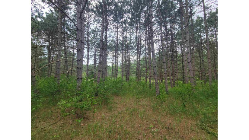 LOT 113 Beaver Lane Monroe, WI 54613 by Coldwell Banker Advantage Llc - Off: 715-325-7335 $49,900