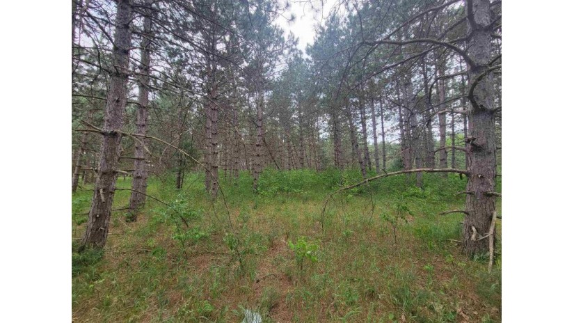 LOT 113 Beaver Lane Monroe, WI 54613 by Coldwell Banker Advantage Llc - Off: 715-325-7335 $49,900