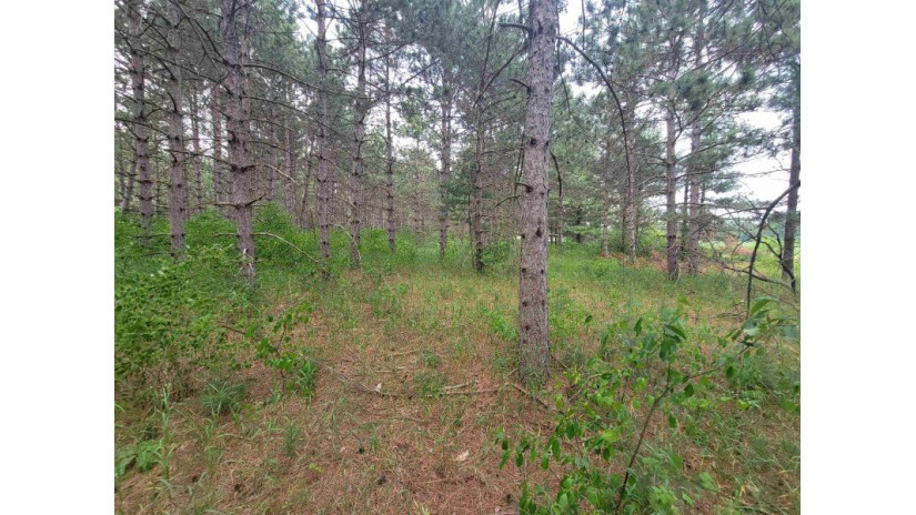 LOT 113 Beaver Lane Monroe, WI 54613 by Coldwell Banker Advantage Llc - Off: 715-325-7335 $49,900