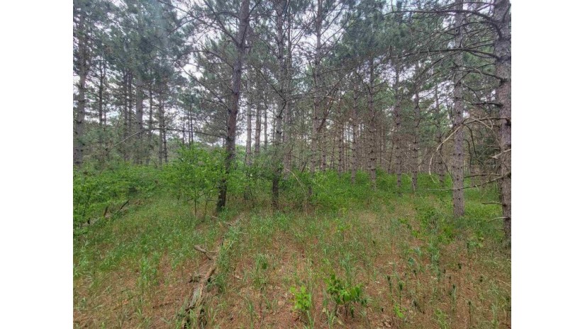 LOT 113 Beaver Lane Monroe, WI 54613 by Coldwell Banker Advantage Llc - Off: 715-325-7335 $49,900