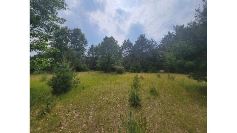 LOT 113 Beaver Lane Monroe, WI 54613 by Coldwell Banker Advantage Llc - Off: 715-325-7335 $49,900